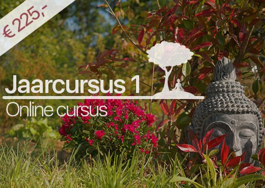 Jaarcursus spiritualiteit en meditatie