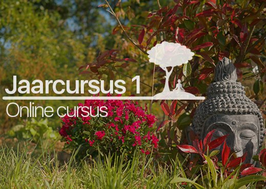 Jaarcursus 1