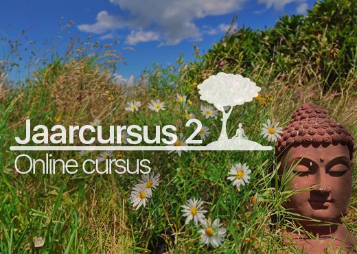 Jaarcursus 2 cover
