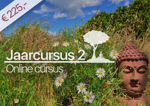 Jaarcursus 2 met prijs